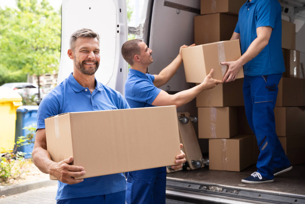 Best Local Movers Minneola