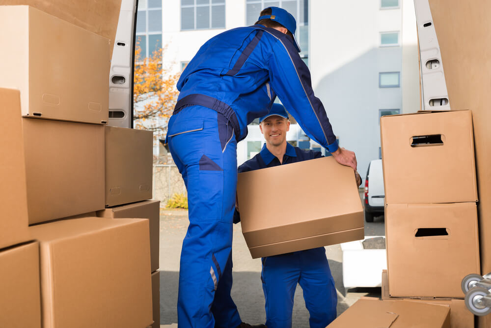 Long Distance Movers Minneola